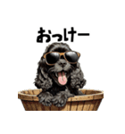 ロックでダジャレな黒アメコカ（個別スタンプ：11）