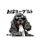 ロックでダジャレな黒アメコカ（個別スタンプ：12）