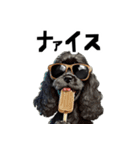 ロックでダジャレな黒アメコカ（個別スタンプ：26）