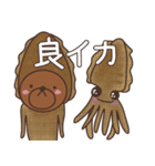 うさピットSUMMER イカす！（個別スタンプ：9）