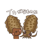 うさピットSUMMER イカす！（個別スタンプ：23）