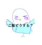 インコちゃんいろいろな種類（個別スタンプ：14）