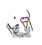 かわいいインコちゃんブルーー（個別スタンプ：12）