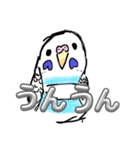 かわいいインコちゃんブルーー（個別スタンプ：14）