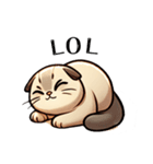 猫(マンチカン)情が可愛い英語スタンプ（個別スタンプ：8）
