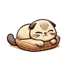 猫(マンチカン)情が可愛い英語スタンプ（個別スタンプ：23）