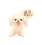 wanko_6familyすたんぷ（個別スタンプ：9）