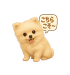 wanko_6familyすたんぷ（個別スタンプ：13）