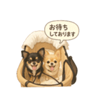 wanko_6familyすたんぷ（個別スタンプ：14）