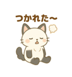 日常で使える♡ぱにゃん（個別スタンプ：5）