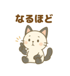 日常で使える♡ぱにゃん（個別スタンプ：20）
