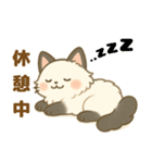 日常で使える♡ぱにゃん（個別スタンプ：31）