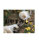 ベルリンリンリンリンリンリン（個別スタンプ：4）