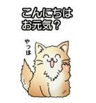 もうもふにゃんこ その1（個別スタンプ：2）