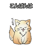 もうもふにゃんこ その1（個別スタンプ：3）