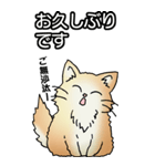 もうもふにゃんこ その1（個別スタンプ：4）