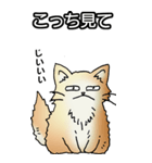もうもふにゃんこ その1（個別スタンプ：5）