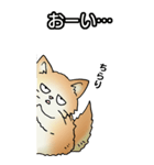 もうもふにゃんこ その1（個別スタンプ：6）