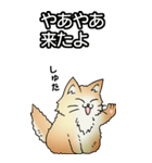 もうもふにゃんこ その1（個別スタンプ：7）