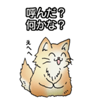 もうもふにゃんこ その1（個別スタンプ：8）