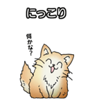 もうもふにゃんこ その1（個別スタンプ：9）