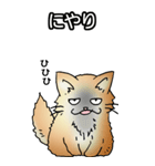 もうもふにゃんこ その1（個別スタンプ：10）