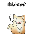 もうもふにゃんこ その1（個別スタンプ：11）