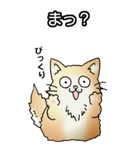 もうもふにゃんこ その1（個別スタンプ：17）