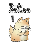 もうもふにゃんこ その1（個別スタンプ：23）
