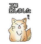 もうもふにゃんこ その1（個別スタンプ：25）