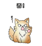 もうもふにゃんこ その1（個別スタンプ：28）