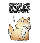 もうもふにゃんこ その1（個別スタンプ：29）
