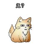 もうもふにゃんこ その1（個別スタンプ：35）