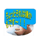 クソダサデザイン（個別スタンプ：25）