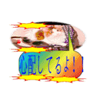 クソダサデザイン（個別スタンプ：27）
