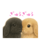 ふわふわロップイヤーラビット（個別スタンプ：1）