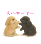 ふわふわロップイヤーラビット（個別スタンプ：2）