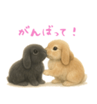 ふわふわロップイヤーラビット（個別スタンプ：7）