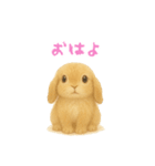 ふわふわロップイヤーラビット（個別スタンプ：8）