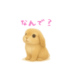 ふわふわロップイヤーラビット（個別スタンプ：9）