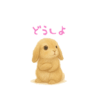 ふわふわロップイヤーラビット（個別スタンプ：10）