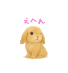 ふわふわロップイヤーラビット（個別スタンプ：11）