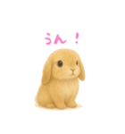 ふわふわロップイヤーラビット（個別スタンプ：13）