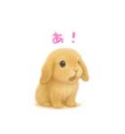 ふわふわロップイヤーラビット（個別スタンプ：14）