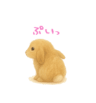 ふわふわロップイヤーラビット（個別スタンプ：20）