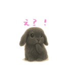 ふわふわロップイヤーラビット（個別スタンプ：23）