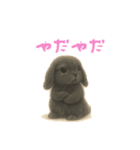 ふわふわロップイヤーラビット（個別スタンプ：26）