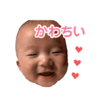 凜とするスタンプ（個別スタンプ：9）