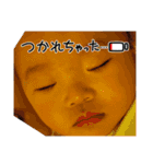 凜とするスタンプ（個別スタンプ：24）