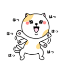 いろんな色の可愛い猫ちゃん（個別スタンプ：3）